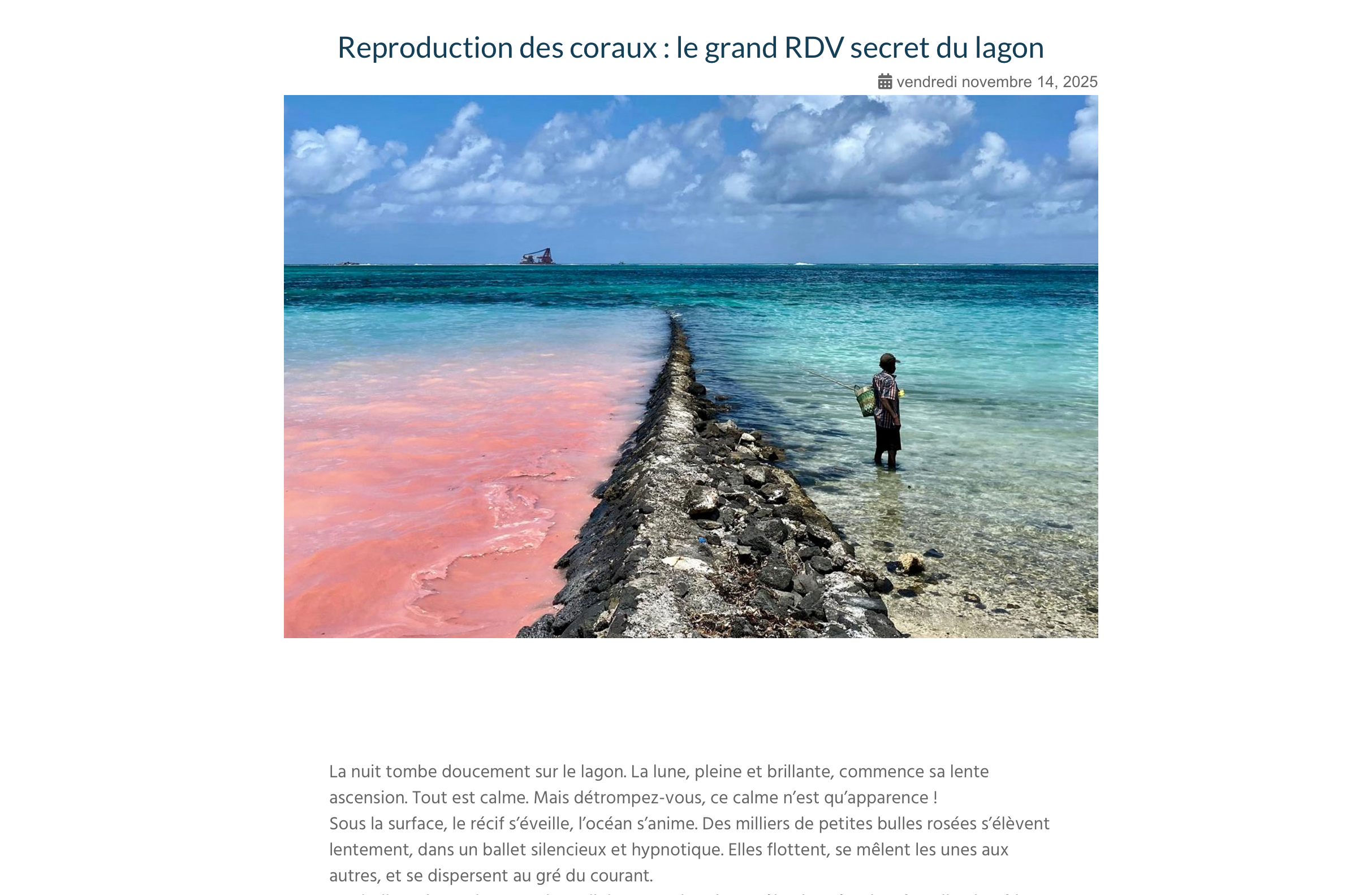 Article "Reproduction des coraux"
